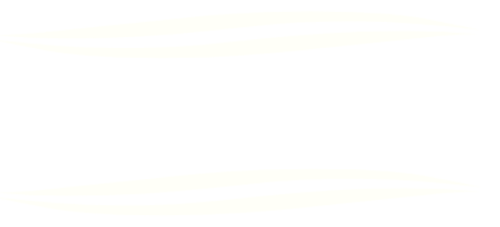 Vasa Frisör